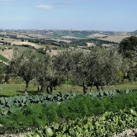 Casale San Martino Agriturismo Bio Sant'Angelo in Pontano Exterior foto