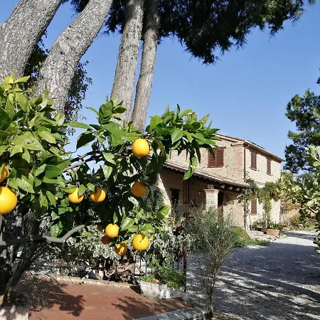 Casale San Martino Agriturismo Bio Sant'Angelo in Pontano Exterior foto