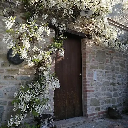 Casale San Martino Agriturismo Bio Sant'Angelo in Pontano Exterior foto