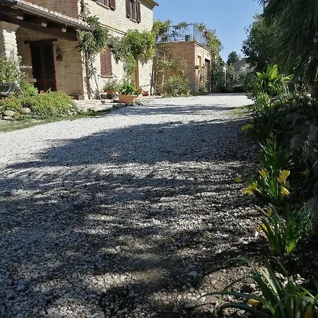Casale San Martino Agriturismo Bio Sant'Angelo in Pontano Exterior foto