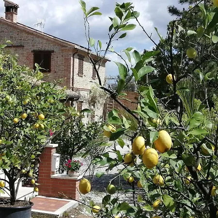 Casale San Martino Agriturismo Bio Sant'Angelo in Pontano Exterior foto