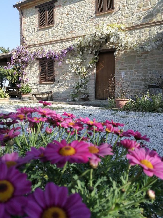 Farm stay Casale San Martino Bio