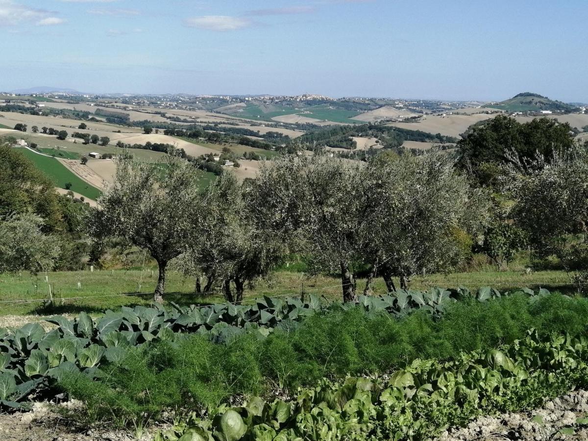 Casale San Martino Bio