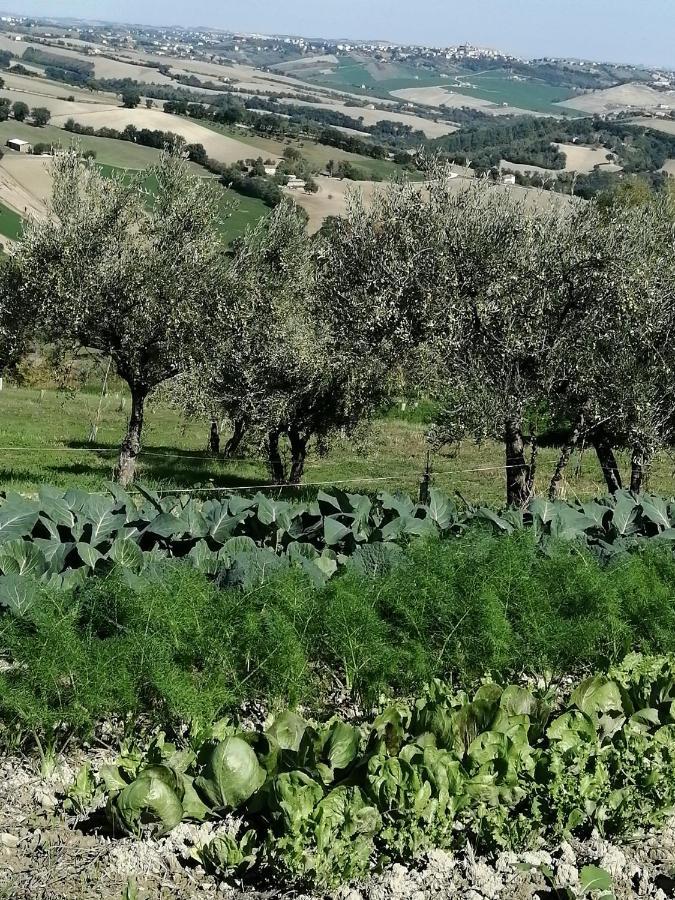 Casale San Martino Bio Farm stay
