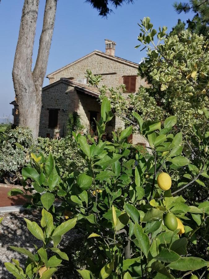 Casale San Martino Bio Farm stay *
