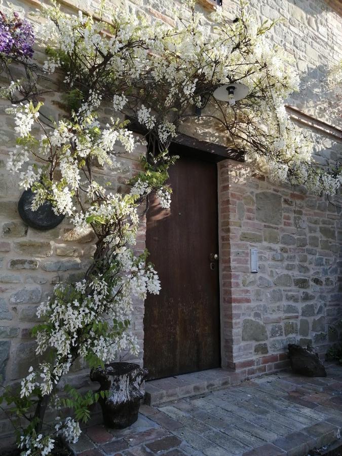 Farm stay Casale San Martino Bio