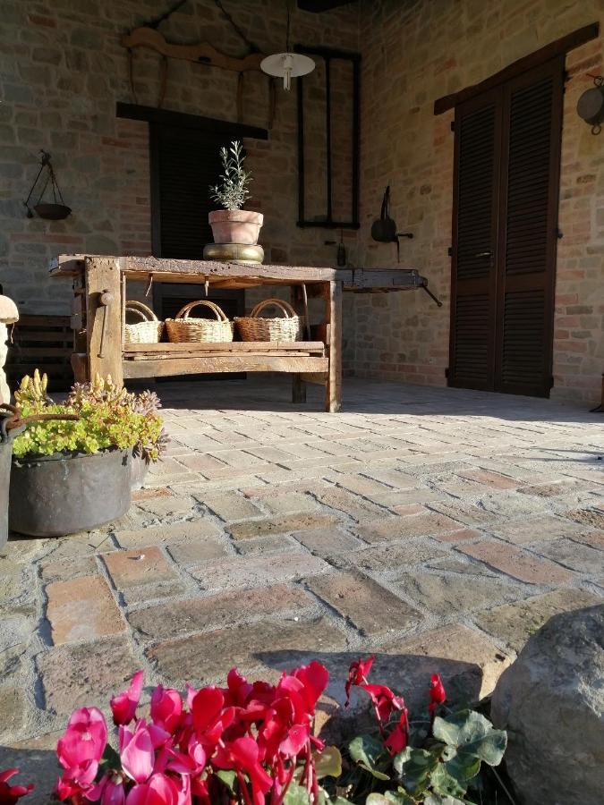 Casale San Martino Bio Farm stay Sant'Angelo in Pontano