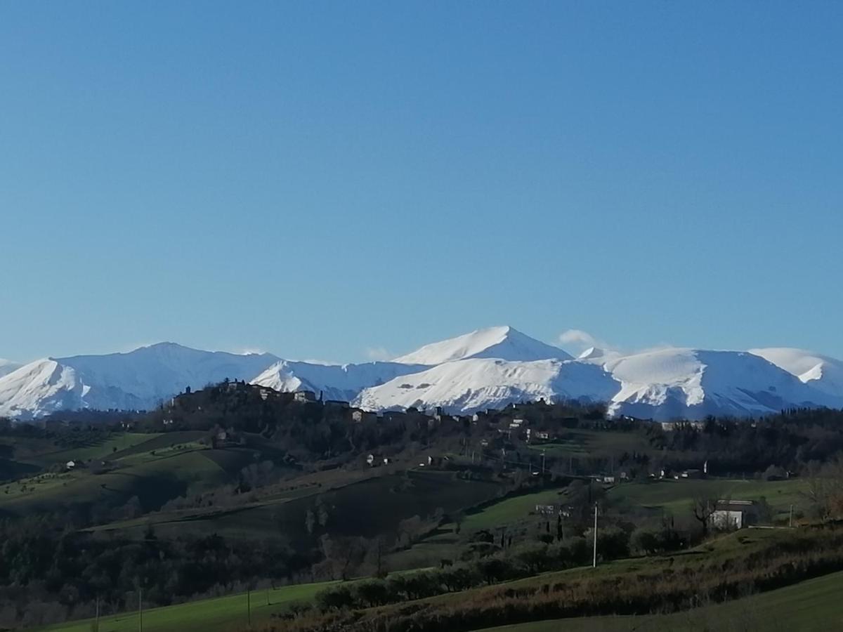 Casale San Martino Bio Farm stay *