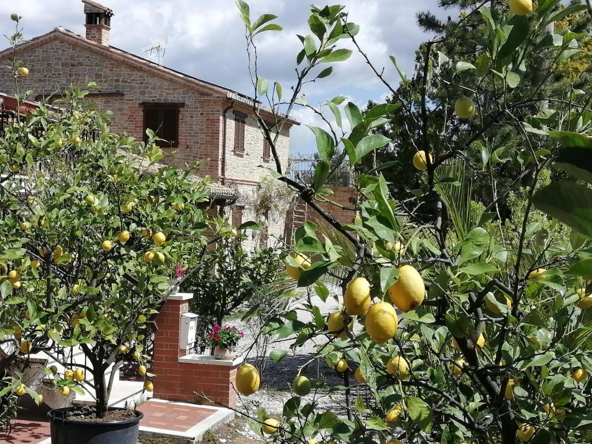 Casale San Martino Bio Farm stay Sant'Angelo in Pontano