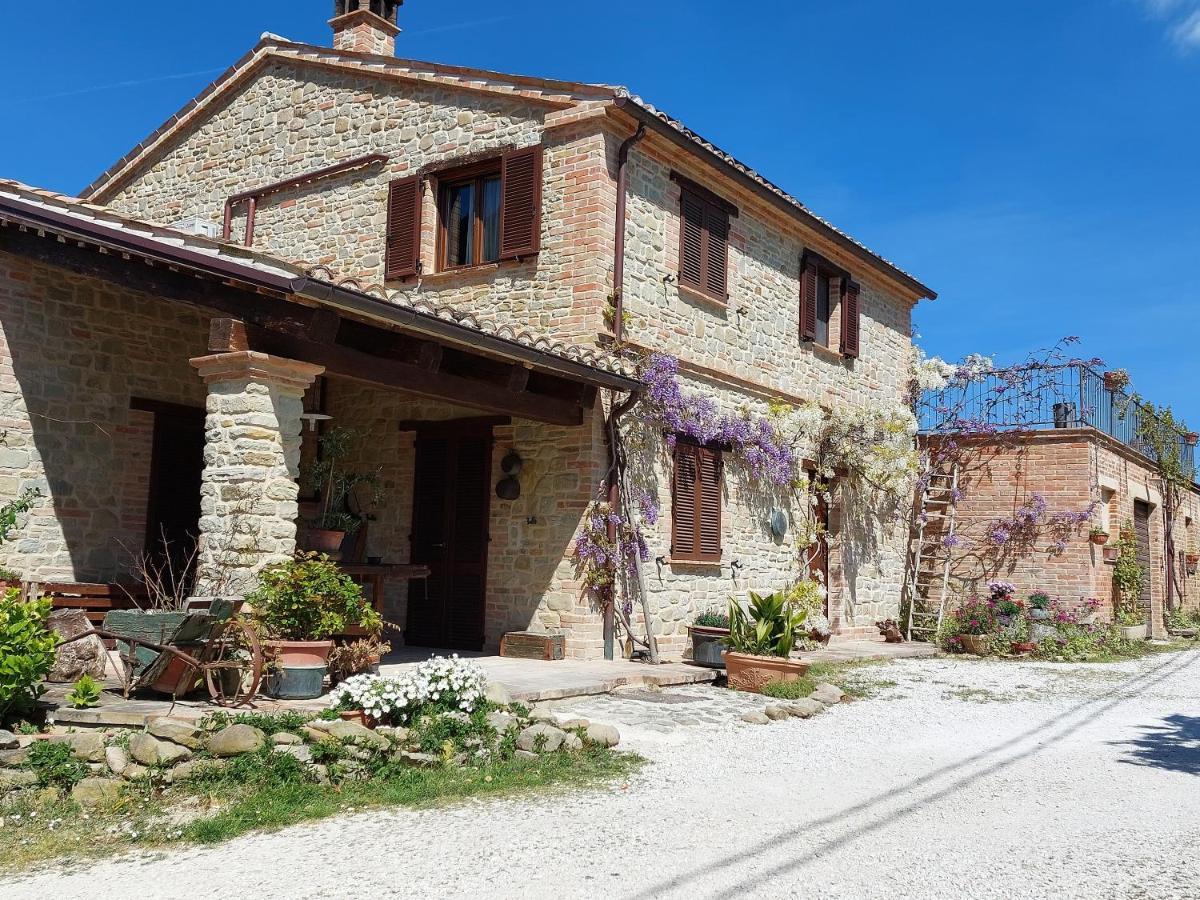 Casale San Martino Bio Farm stay Sant'Angelo in Pontano
