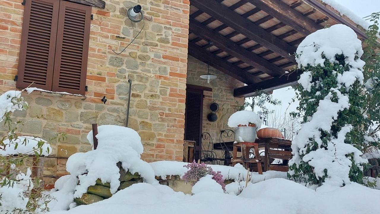 Casale San Martino Bio Farm stay *