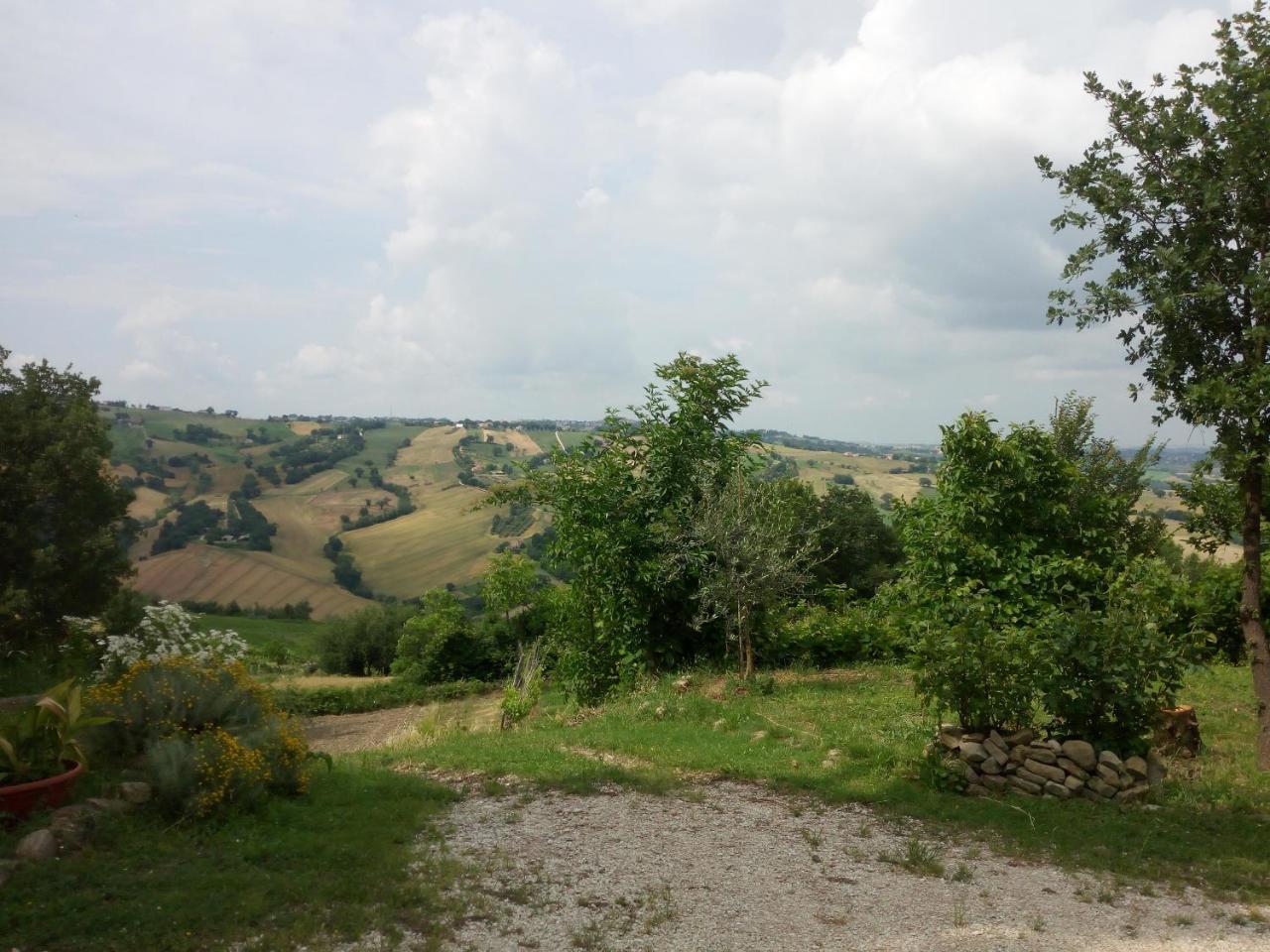 Casale San Martino Bio Farm stay Sant'Angelo in Pontano